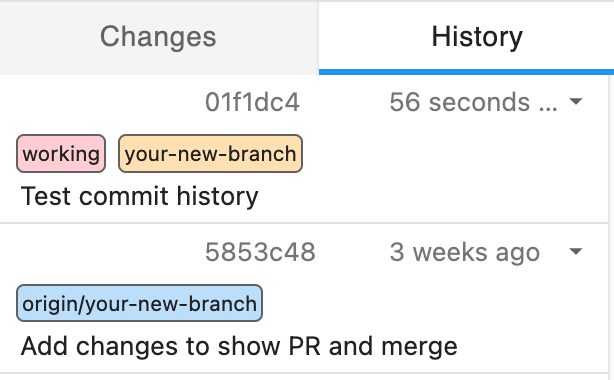 Commit History