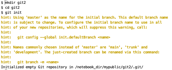 Terminal Git Init
